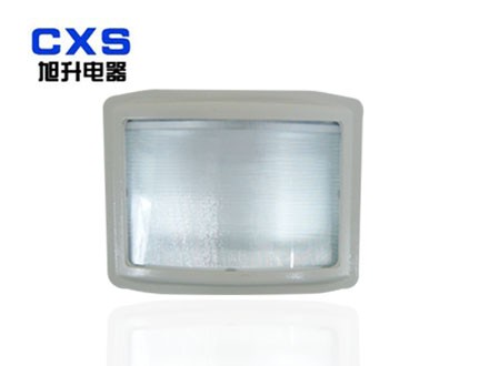 供应NSE9720防眩(应急)通路灯